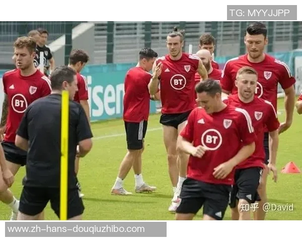 威尔士与奥地利精彩对决直播时间及观看方式全攻略 威尔士与奥地利精彩对决直播时间及观看方式全攻略