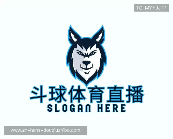 了解斗球体育直播